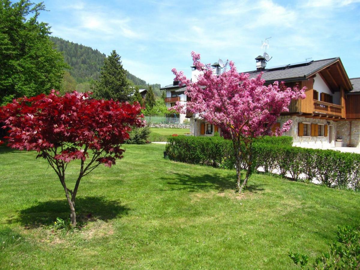 Ca'Milla B&B Nelle Dolomiti Pieve di Cadore Kültér fotó